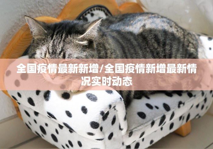 全国疫情最新新增/全国疫情新增最新情况实时动态 全国疫情最新新增/全国疫情新增最新情况实时动态