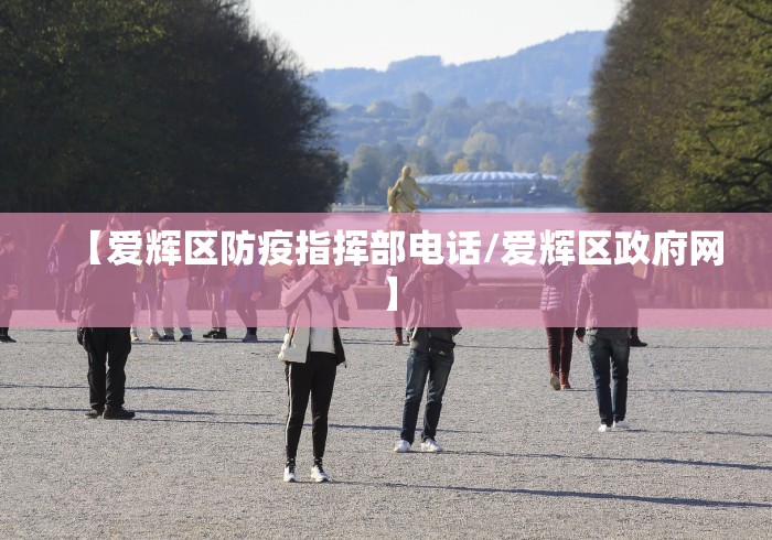 【爱辉区防疫指挥部电话/爱辉区政府网】