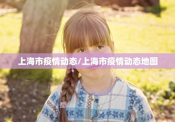 上海市疫情动态/上海市疫情动态地图