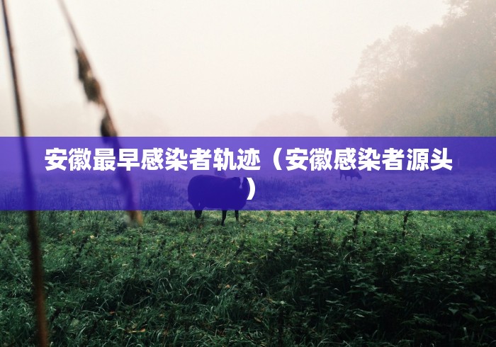安徽最早感染者轨迹（安徽感染者源头）