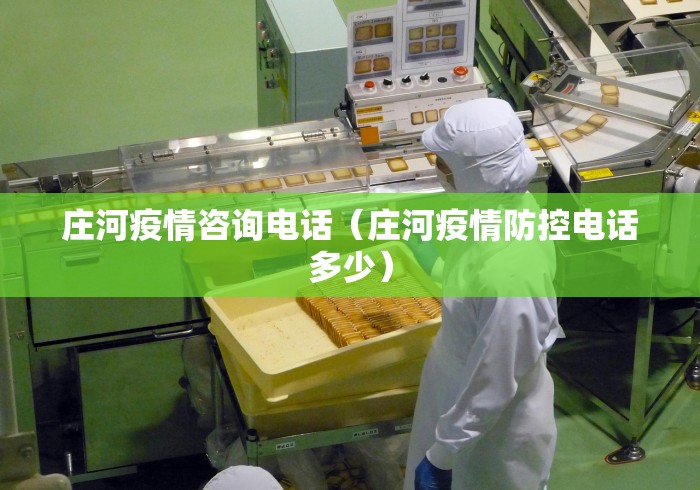 庄河疫情咨询电话（庄河疫情防控电话多少）