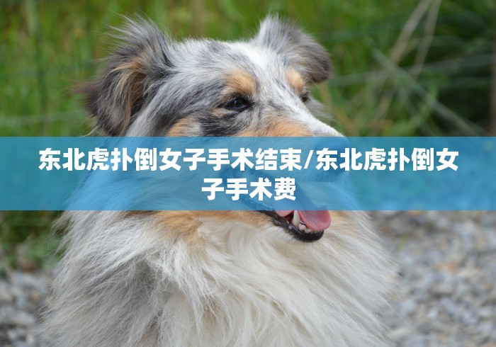 【31省新增12本土确诊/31省新增21例确诊 本土病例15例】