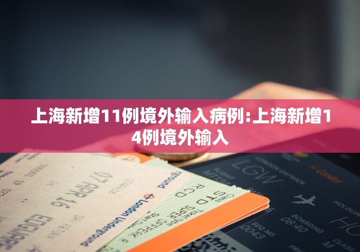 上海新增11例境外输入病例:上海新增14例境外输入
